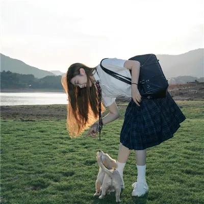 西城枭雄